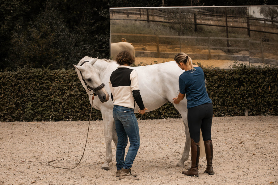 Live Webinar mit Anna Jantscher und Annica Hansen | Body Basics beim Pferd